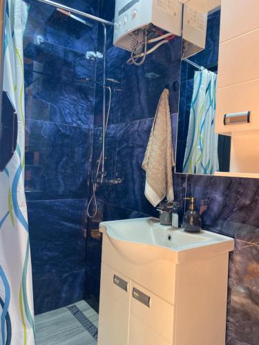 a bathroom with a sink and a shower at Splav Galija in Bajina Bašta