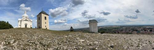 a church on the top of a hill with flowers at Pálava Chalupa in Pavlov