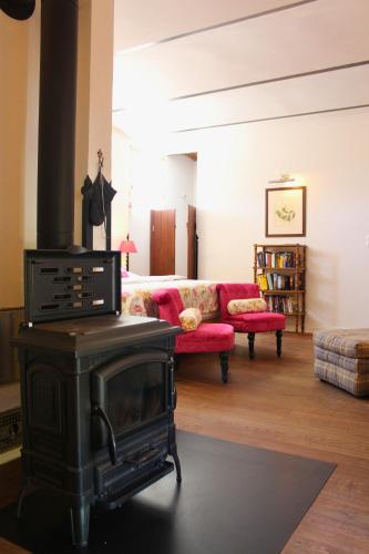 a living room with a fireplace and a couch at Burgunderhof - Steiermark in Sankt Anna am Aigen