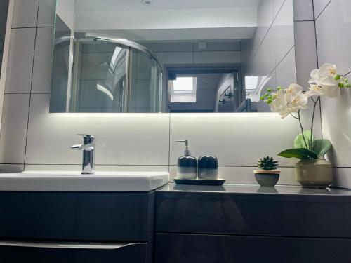 a bathroom with a sink and a mirror at TyCosy in St. Davids