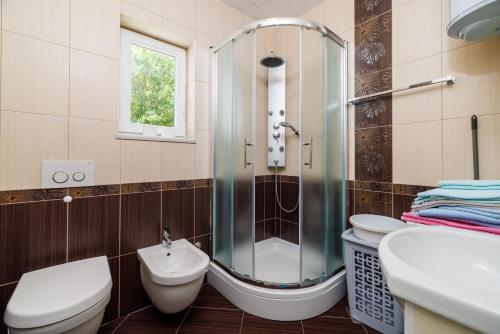 ein Badezimmer mit Dusche, Toilette und Waschbecken in der Unterkunft Apartment Villa Sara in Dramalj