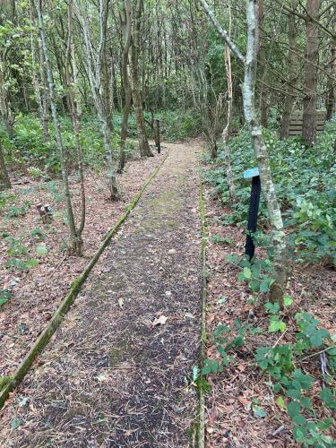 a trail in the woods with a blue bench at Luxury Bungalow Countryside view in Aughton