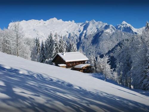 Cabaña cubierta de nieve en una montaña cubierta de nieve en Chalet Les Pellys - OVO Network, en Samoëns