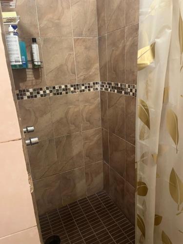 een douche met een glazen deur in een badkamer bij Habitacion comoda en departamento planta baja in Guadalajara