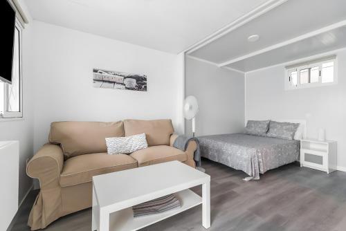 ArtedaraにあるTiny House In The Countryのソファとベッドのあるリビングルーム