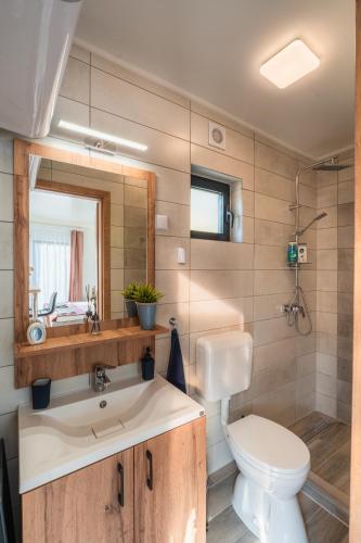 a bathroom with a toilet and a sink and a mirror at Hernádrental Apartmanok in Felsődobsza