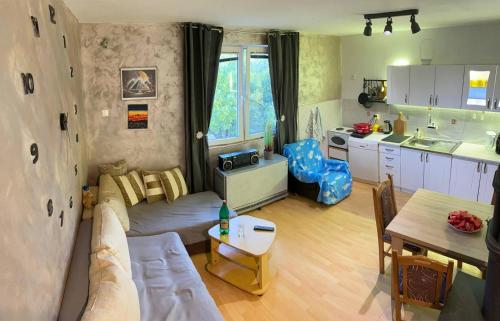 un salon avec un canapé et une cuisine dans l'établissement Cozy House Belgrade, à Kalugjerica