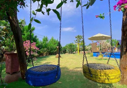 two swings in a yard with a tree at Mộc Hoa Viên Homestay in Ấp Thiện Lập