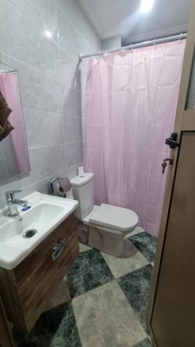 ティンジルにあるVilla kaddiのピンクのシャワーカーテンとトイレ付きのバスルーム