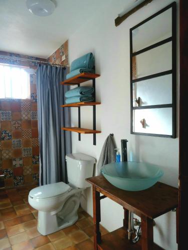 a bathroom with a toilet and a glass sink at El Bello Jardín de Chela in Guanajuato