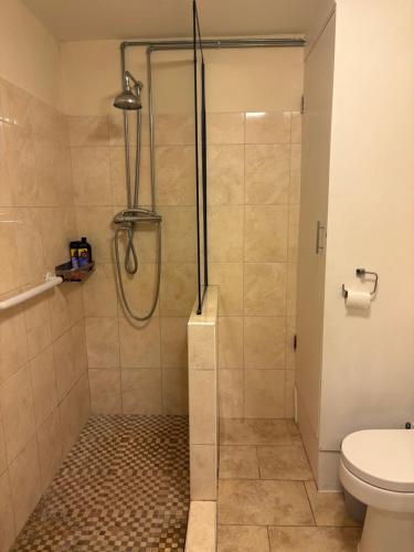 a bathroom with a shower and a toilet at Flat 1. Cleethorpes apts in Cleethorpes