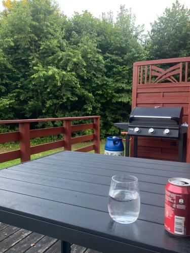 a picnic table with a grill and a glass of water at Ålevænget 1 in Gedsted