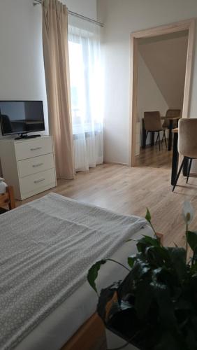 Μια τηλεόραση ή/και κέντρο ψυχαγωγίας στο VIP VILLAGE Las Woda Rower - Podgrzewany Basen, Balia, Sauna