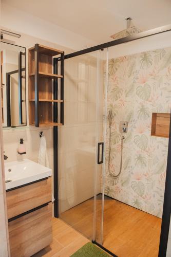 a bathroom with a shower and a sink at Apartmány Pod Hradem Potštejn in Rychnov nad Kněžnou