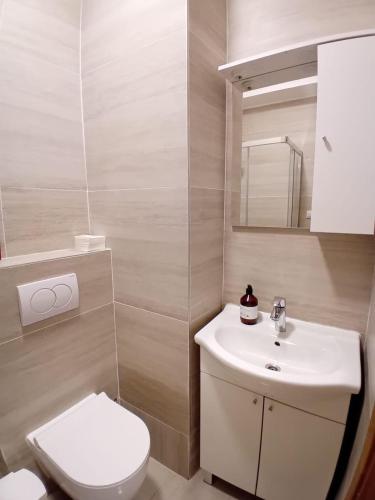 a bathroom with a white toilet and a sink at Apartments Rooms FONTANE TRNJE - FREE PARKING in Zagreb
