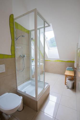 a bathroom with a shower and a toilet at Gästehaus Eisenerz in Eisenerz
