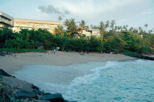 公寓附近的自然景觀