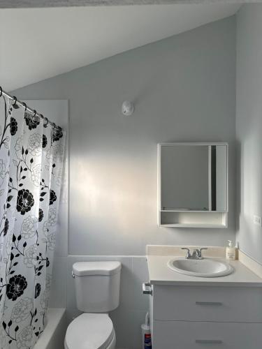 a bathroom with a toilet and a sink and a shower curtain at Gated Fortress In Old harbour in Old Harbour