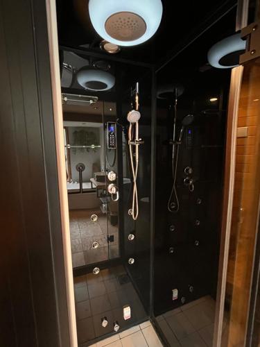 a bathroom with a shower with a glass door at B&B Spoor 1 met jacuzzi & Spoor 2 met Wellness in Nieuwe Vaart
