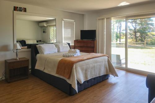 ein Schlafzimmer mit einem Bett und einem großen Fenster in der Unterkunft Large Studio with Patio and Pool in North Truro