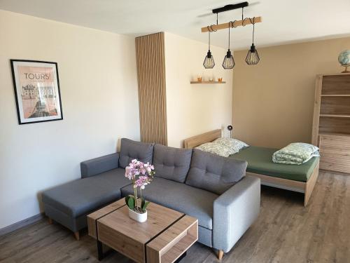 Grand appartement T2 cosy 4 personnes Proche Tours Centre