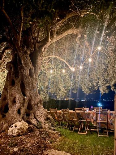 a table and chairs under a tree with lights at Casale Micale in Noto