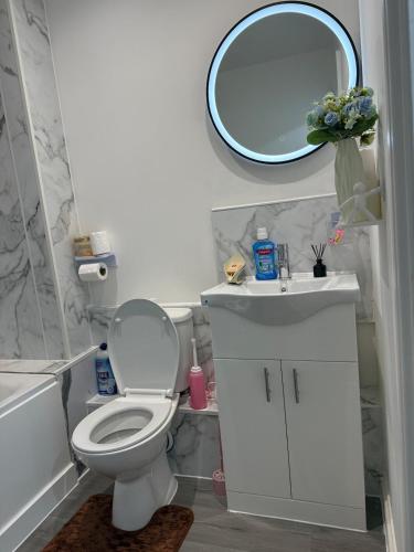 a bathroom with a toilet and a sink and a mirror at Mary Apartment in London