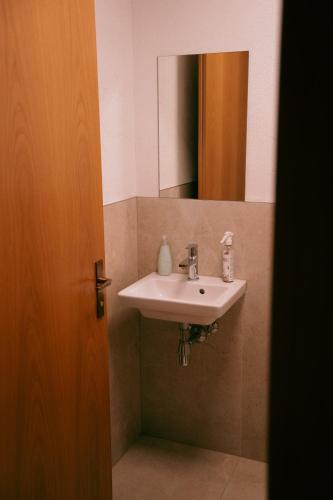 a bathroom with a sink and a mirror at Eckis Appartements in Schruns