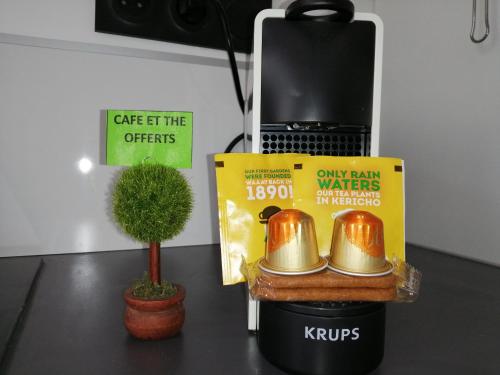 a table with a book and a pot with a plant at Appart Cosy Brest (Les 4 moulins) in Brest