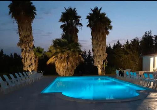 a blue swimming pool with palm trees in the background at 3 Twins Suite Portopalo in Portopalo