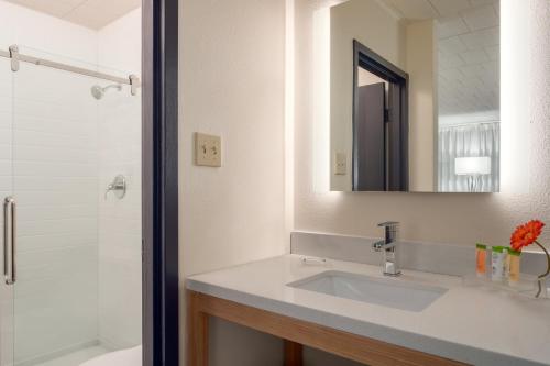 a bathroom with a sink and a mirror and a shower at Ramada by Wyndham Indiana in Indiana