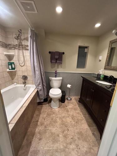a bathroom with a tub and a toilet and a sink at Amphitheater Mountain Cabin in Silver Gate