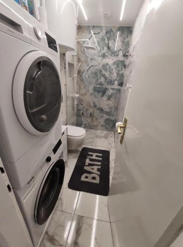 a bathroom with a washer and dryer next to a toilet at Sunny parkside retreat in Belgrade