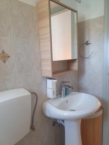 a bathroom with a sink and a toilet and a mirror at Bracciera Lipsi Apts 3 in Lipsoi
