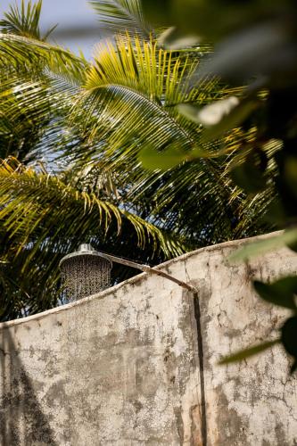 a concrete wall with palm trees in the background at Villa Côté Sud Pousada De Charme in São Miguel dos Milagres