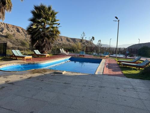 a swimming pool with benches next to a palm tree at Cabañas Licanantay in Vallenar