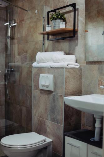 a bathroom with a toilet and a sink and a shower at O'Toole's, Plitvice in Korenica