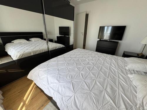 a bedroom with two beds and a television at Blue Oasis in Ştefăneştii de Sus