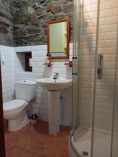 a bathroom with a sink and a toilet and a mirror at Casa de Abril 1 in San Cristóbal de Valdueza