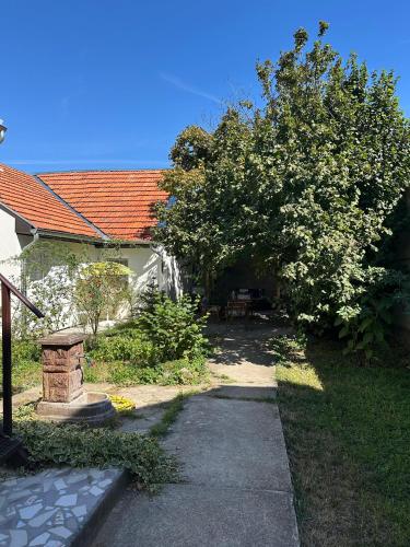 a garden with a pathway leading to a house at Сјајни лешник in Zrenjanin