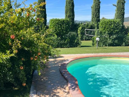 a swimming pool in a garden with a basketball hoop at RelaxHomeHoliday in Panicale