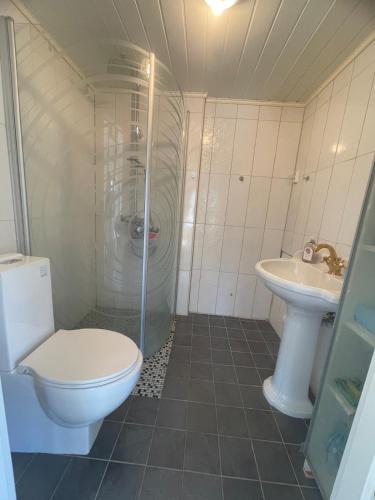 a small bathroom with a toilet and a sink at Holiday apartment in Jessheim in Jessheim