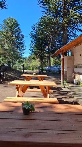 Ảnh trong thư viện ảnh của Alojamientos Titin ở Villa Pehuenia