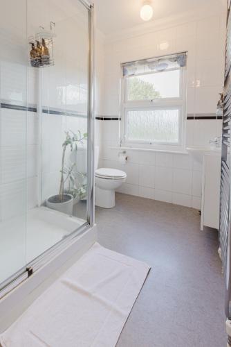 a bathroom with a shower and a toilet and a sink at Grace's Guesthouse 68a in Tring