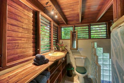 un bagno con un lavandino e un water in una stanza di Wildlife Oasis Surf, Rainforest, Animals a Puerto Jiménez