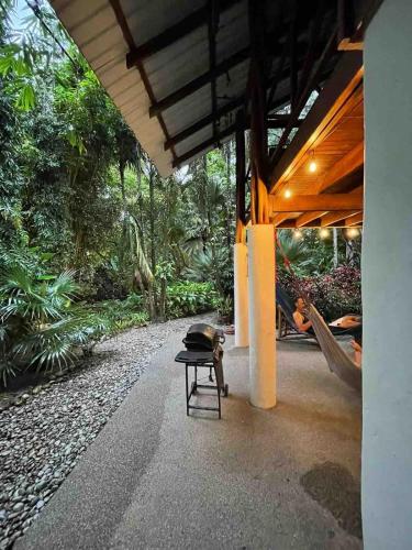 Giardino di Wildlife Oasis Surf, Rainforest, Animals