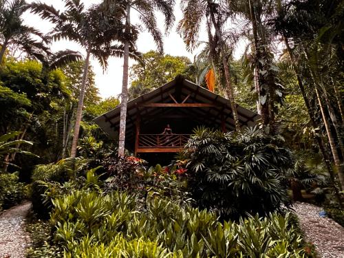 Giardino di Wildlife Oasis Surf, Rainforest, Animals