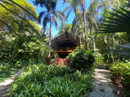 Giardino di Wildlife Oasis Surf, Rainforest, Animals
