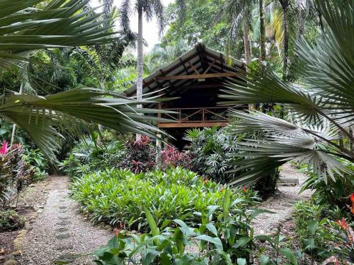Giardino di Wildlife Oasis Surf, Rainforest, Animals