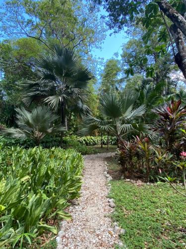 Giardino di Wildlife Oasis Surf, Rainforest, Animals